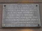 żywiec 10