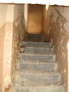 Wielbark Suchy Las 09