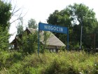 niegocin 01