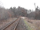 glińcz 13