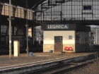 Legnica 14