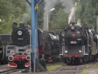 Parowozjada 2012 08