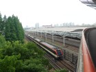 Shanghai South 07
