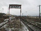 Sokoły 03