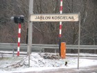 Jabłoń 05
